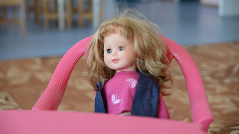 Назван режим работы детских садов и школ Сахалина с 30 октября по 7 ноября