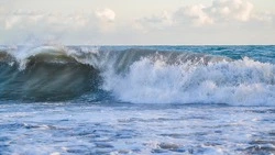 Сахалинцев не пугает наводнение в Сочи. Люди хотят отдыхать