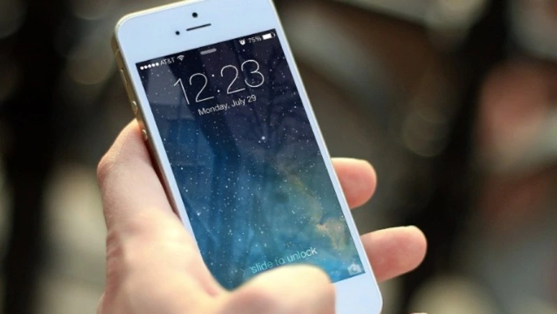 Жительница Южно-Сахалинска радушно встретила гостей, а у нее украли смартфон