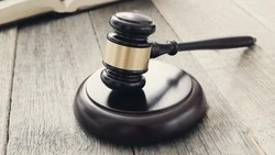 Владелец «Сахморфлота» засудила своего директора за убытки компании