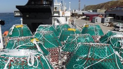 Мясо краба и филе белой рыбы нелегально привезли из Кореи на Сахалин