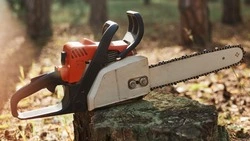 Полицейские в Ногликах задержали подозреваемых в краже бензопил на 500 тысяч рублей