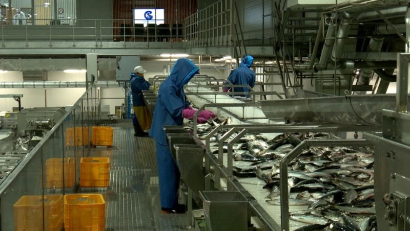 Глава Росрыболовства посетил комплекс «Озерский» - Центр внимания 22.04.26