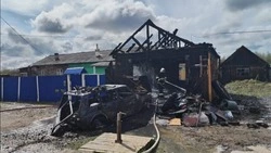 Дом цел: на частной территории сгорели гараж и машина в селе Онор