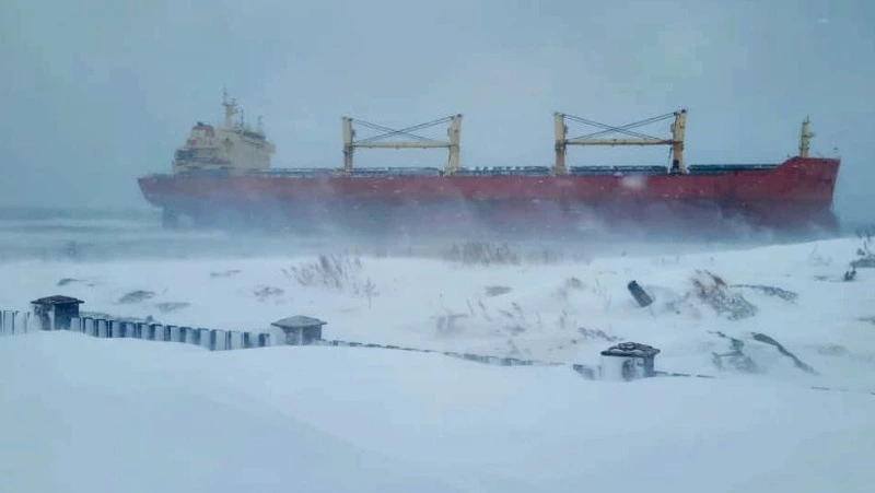 Прокуратура и следком заинтересовались ЧП с китайским судном у Сахалина