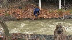 Загрязнение реки Рогатка зафиксировали в Южно-Сахалинске