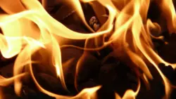 Зараженную африканской чумой свинину продолжают сжигать на Сахалине