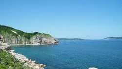 В Японском море найдены новые бактерии