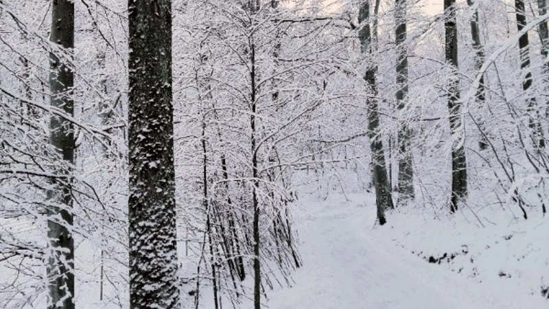 Небольшой снег и до -28 градусов ждет жителей Сахалина и Курил 23 января