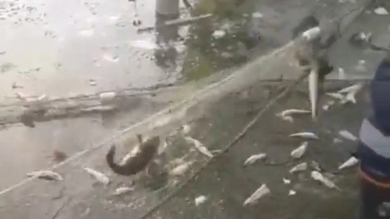 Сахалинские рыбаки объявили охоту на браконьерские сети