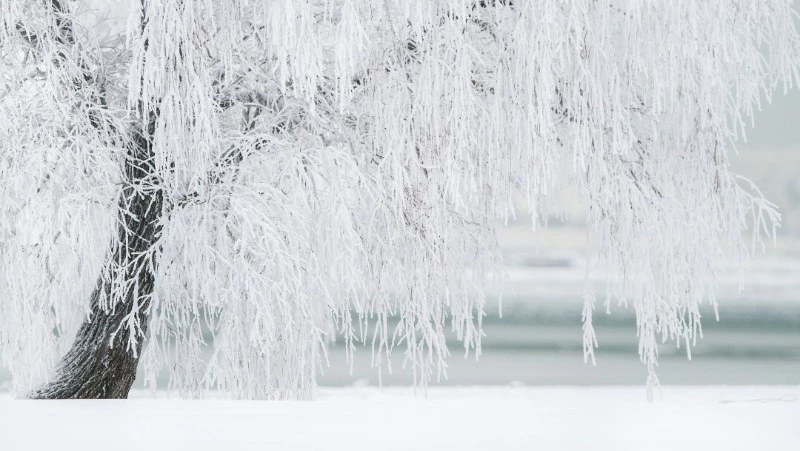 Ураганный ветер и метель придут на Курилы 19 декабря