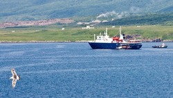 За списанный теплоход «Поларис» с дирекции по развитию Курил в суде требуют еще 400 тысяч рублей 