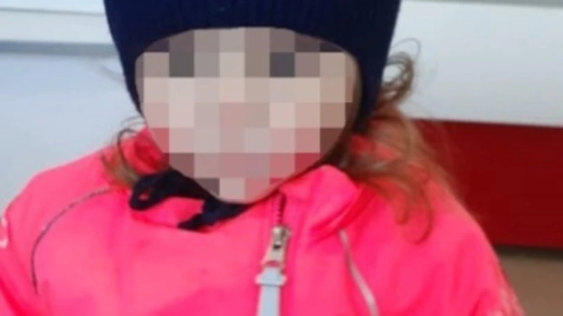 Прокуратура выяснит, из-за чего трехлетняя девочка искала родителей в Красногорске