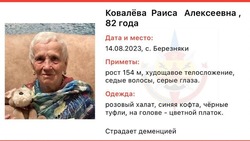 Пенсионерка с деменцией пропала в Березняках 14 августа