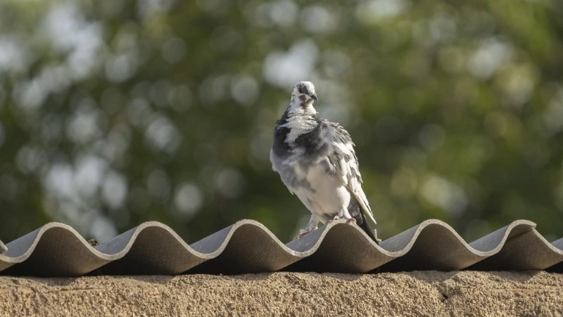 Церковный праздник 6 ноября 2024: что нельзя делать в этот день, приметы