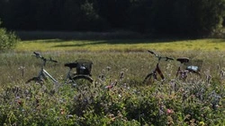 Синоптики уточнили прогноз погоды в Сахалинской области на 20 августа