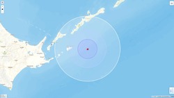 Землетрясение магнитудой 4,3 произошло рядом с Южными Курилами 30 октября