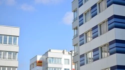 Регулирование численности голубей и установка счетчиков: Куприна ответила на вопросы сахалинцев