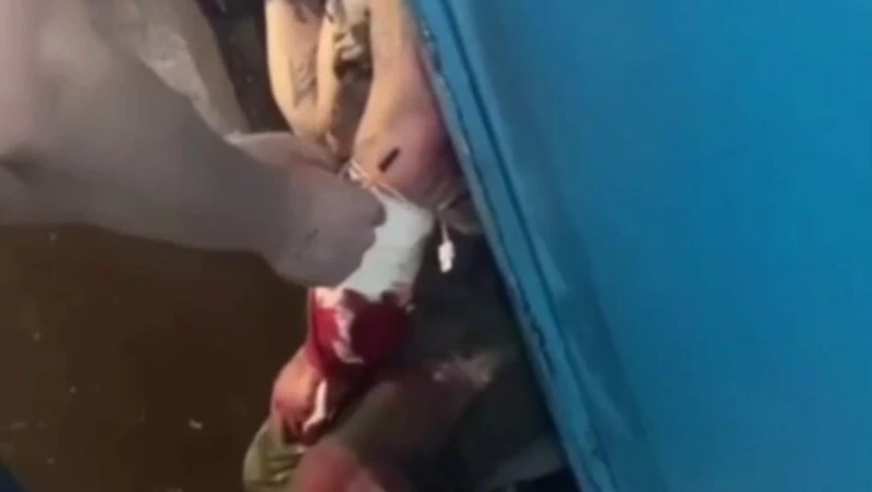 Раненого мужчину спас дознаватель МЧС в селе на Сахалине