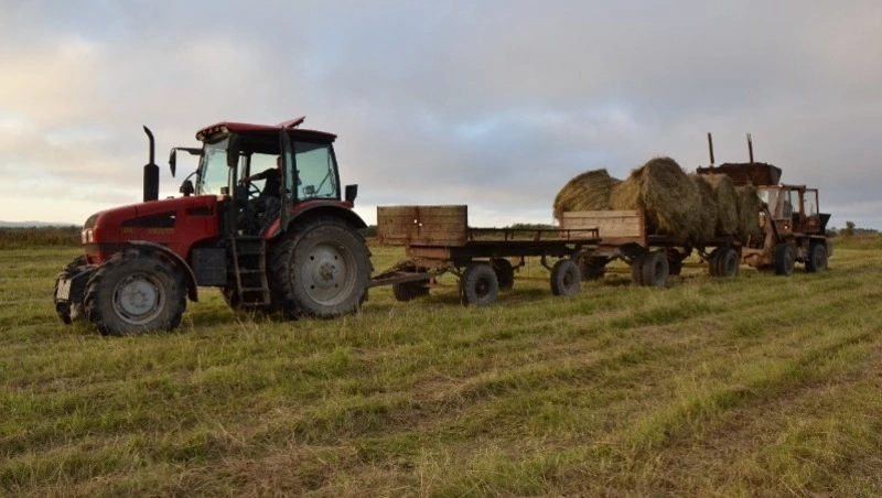 Почти 900 гектаров сельхозземель восстановили на Сахалине и Курилах в 2023 году 