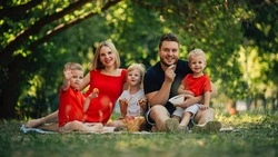 В России запретили изымать земельные участки за долги у многодетных