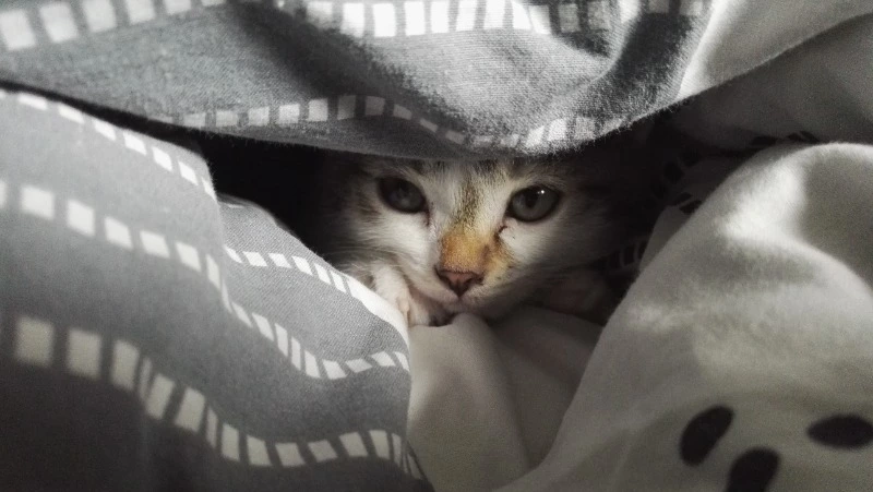 Дети и сотни жителей Южно-Сахалинска остались без отопления 12 мая