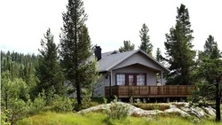 Спрос на ДВ-гектар за год вырос на треть