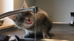 Часть Южно-Сахалинска проведет 22 января без отопления и горячей воды