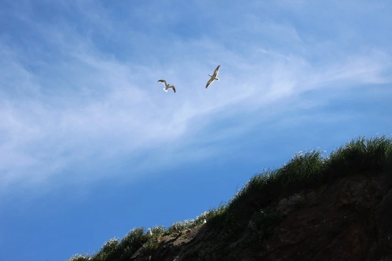 Туристический кластер планируют построить на Курилах