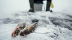 Народные приметы на 25 февраля 2024: что нельзя делать на Алексея Рыбного