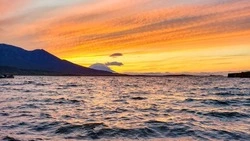 Фотографии дикой природы острова Шумшу удивили жителей Сахалина