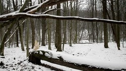 В Сахалинской области ожидают небольшой снег 14 декабря