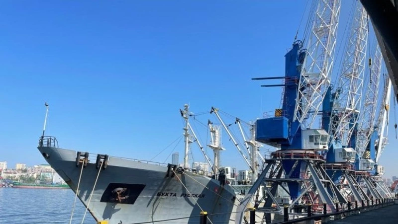 Около 17 тысяч тонн рыбы экспортировали с Сахалина и из Приморья за неделю