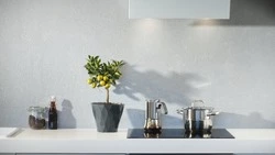 Беженцам из ЛДНР предложили раздавать жилье в России