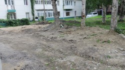 «Как после бомбежки»: ветерана возмутило состояние двора в Южно-Сахалинске