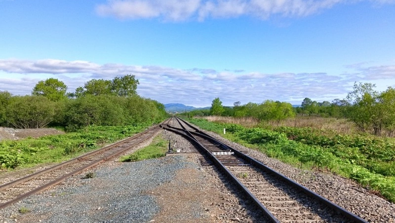 В России в три раза увеличили штраф за переход ж/д путей на красный свет