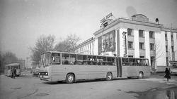 Вишневский анонсировал возвращение автобусов-гармошек в Южно-Сахалинск