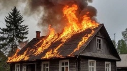 Крыша частного дома вспыхнула в Долинском районе