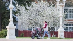 В Госдуму внесли законопроект о налоговом вычете на товары для детей до трех лет