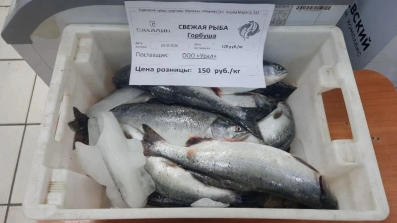 Свежую горбушу и камбалу дешево продают на Сахалине 24 августа: список адресов