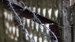 Военный с Сахалина получил 15 лет колонии по первому в РФ делу о сдаче в плен ВСУ