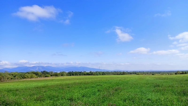Тепло +26 градусов и малооблачная погода придут в Южно-Сахалинск 23 июля