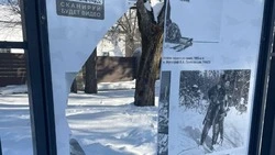 Вандалы разбили стенды с фотографиями в городском парке Южно-Сахалинска