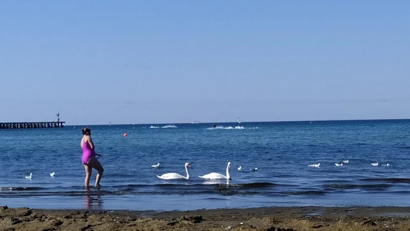 Названы самые популярные у сахалинцев направления для летнего отдыха в 2022 году