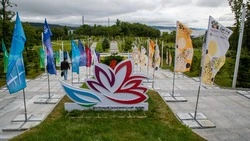 Сахалинские эксперты положительно оценили эффект ВЭФ для региона