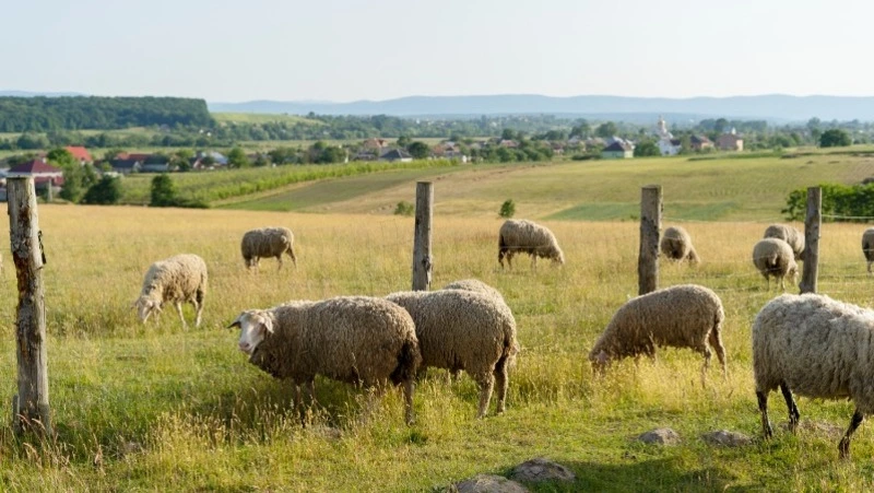 Церковный праздник 11 ноября 2024: что нельзя делать в этот день, приметы