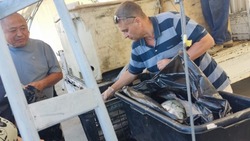 «Набирают мешками»: жителям Южно-Сахалинска привезли доступную рыбу    