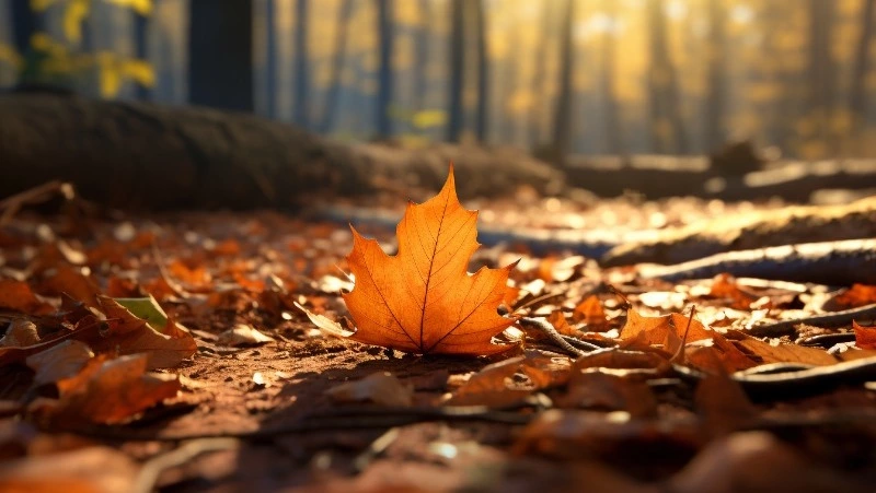 Приметы обо всем на 10 сентября 2023 года: что можно и нельзя делать в этот день