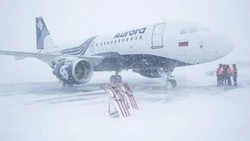 Аэропорт Южно-Сахалинска и «Аврора» обсудили подготовку к зиме