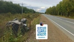 В Тымовском районе нетрезвый бесправник на внедорожнике перевернулся в кювет